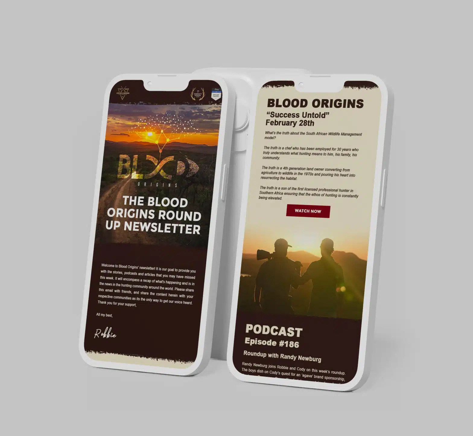 blood origins web design on mobile devices